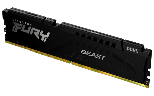 DIMM DDR5 16384Mb 6000МГц 16Gb Kingston FURY Beast Black EXPO (KF560C36BBE2-16)