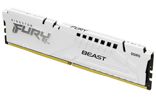 DIMM DDR5 16384Mb 6000МГц 16Gb Kingston FURY Beast White EXPO (KF560C36BWE2-16)