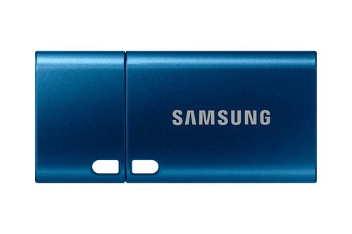 USB Flash накопитель 256Gb Samsung Type-C (MUF-256DA/APC)