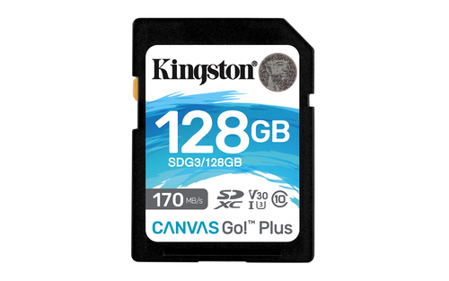 Карта памяти Secure Digital Card (SDXC) 128Gb Kingston Canvas Go! Plus