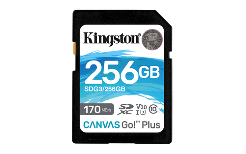 Карта памяти Secure Digital Card (SDXC) 256Gb Kingston Canvas Go! Plus